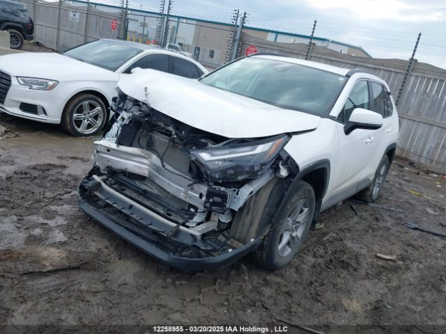 2T3RWRFV3RW233778 2024 TOYOTA