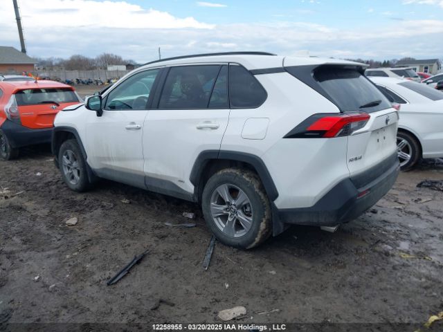 2T3RWRFV3RW233778 2024 TOYOTA