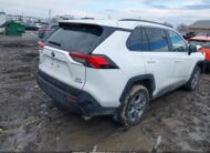 2T3RWRFV3RW233778 2024 TOYOTA