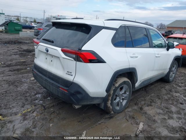 2T3RWRFV3RW233778 2024 TOYOTA