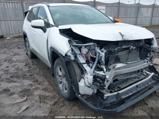 2T3RWRFV3RW233778 2024 TOYOTA