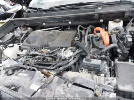 2T3RWRFV8NW140698 2022 TOYOTA