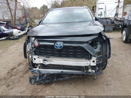 2T3RWRFV8NW140698 2022 TOYOTA