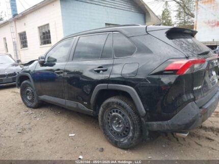 2T3RWRFV8NW140698 2022 TOYOTA
