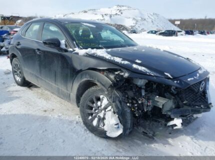 3MVDMBBM9RM602891 2024 MAZDA