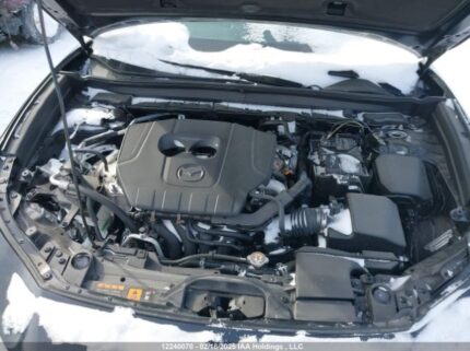 3MVDMBBM9RM602891 2024 MAZDA