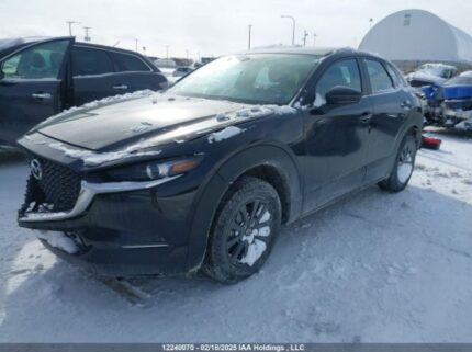 3MVDMBBM9RM602891 2024 MAZDA