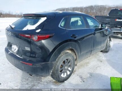 3MVDMBBM9RM602891 2024 MAZDA