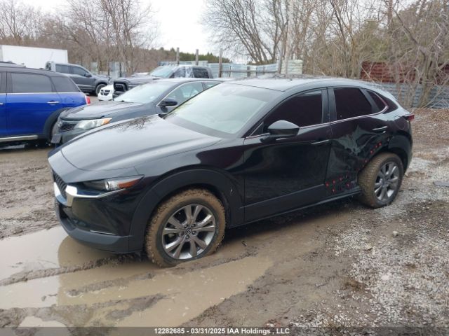 3MVDMBCM4PM538075 2023 MAZDA