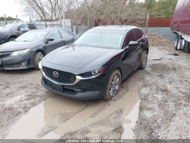 3MVDMBCM4PM538075 2023 MAZDA