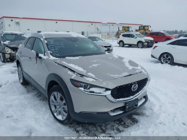 3MVDMBDM4PM526426 2023 MAZDA