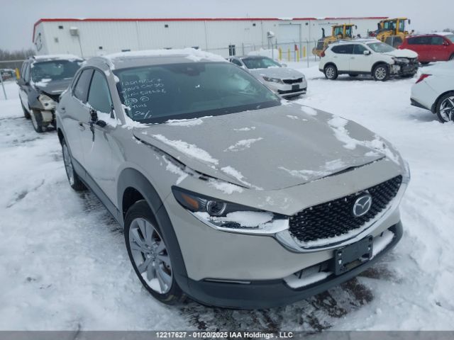3MVDMBDM4PM526426 2023 MAZDA