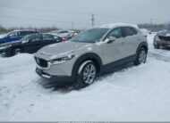 3MVDMBDM4PM526426 2023 MAZDA