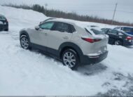 3MVDMBDM4PM526426 2023 MAZDA