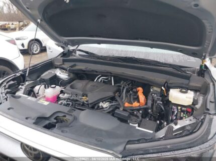 5TDACAB52RS006337 2024 TOYOTA