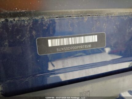 5UX53DP00P9R73510 2023 BMW