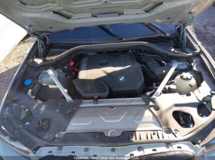 5UX53DP01R9V82806 2024 BMW