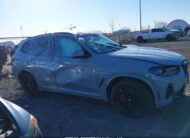 5UX53DP01R9V82806 2024 BMW