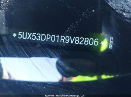 5UX53DP01R9V82806 2024 BMW