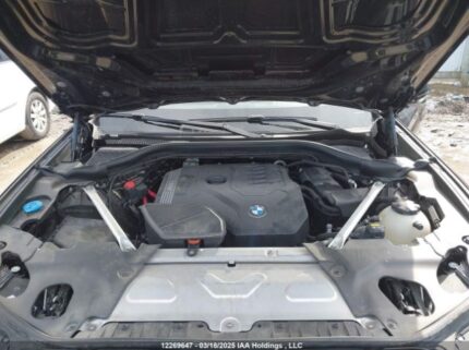 5UX53DP03N9M05295 2022 BMW