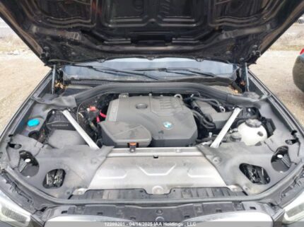 5UX53DP09R9W66601 2024 BMW