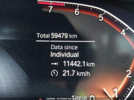 5UXCR6C54KLL06132 2019 BMW