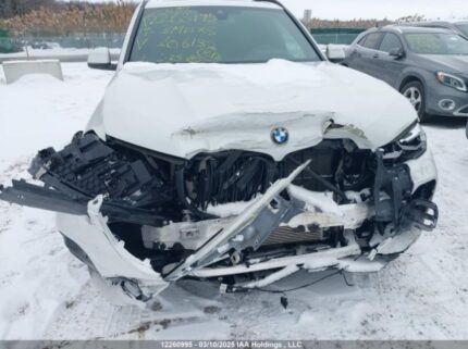 5UXCR6C54KLL06132 2019 BMW