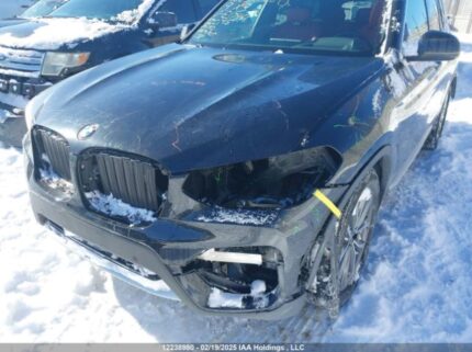 5UXTR9C52KLE17461 2019 BMW