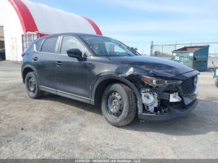 JM3KFBBL1R0532774 2024 MAZDA