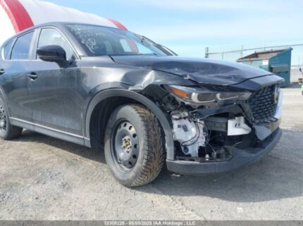 JM3KFBBL1R0532774 2024 MAZDA