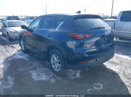 JM3KFBCL8R0406508 2024 MAZDA