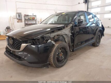JM3KFBCM3R0389920 2024 MAZDA