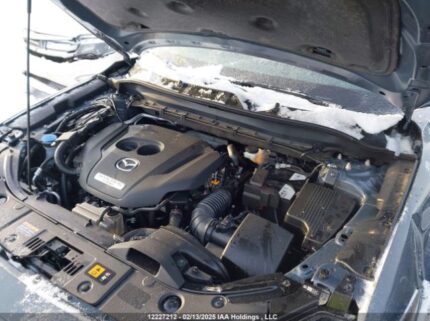 JM3KFBEYXR0513312 2024 MAZDA