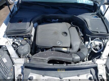 W1N0G8EB5LV248569 2020 MERCEDES-BENZ