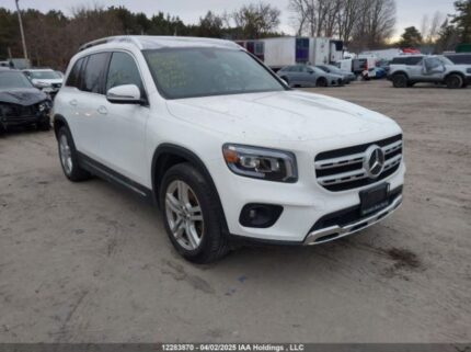 W1N4M4HB1LW039161 2020 MERCEDES-BENZ