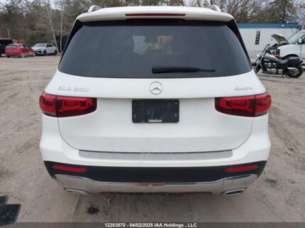 W1N4M4HB1LW039161 2020 MERCEDES-BENZ