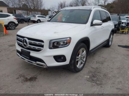 W1N4M4HB1LW039161 2020 MERCEDES-BENZ