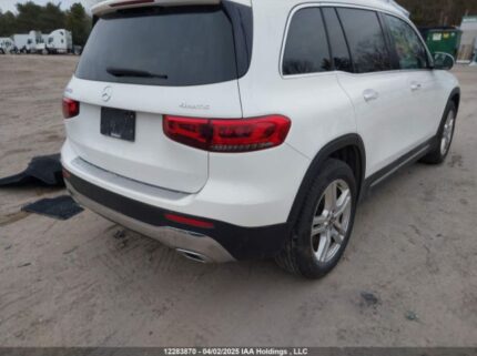 W1N4M4HB1LW039161 2020 MERCEDES-BENZ