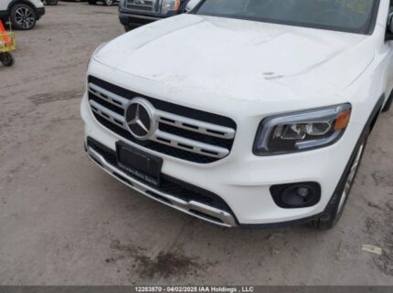 W1N4M4HB1LW039161 2020 MERCEDES-BENZ