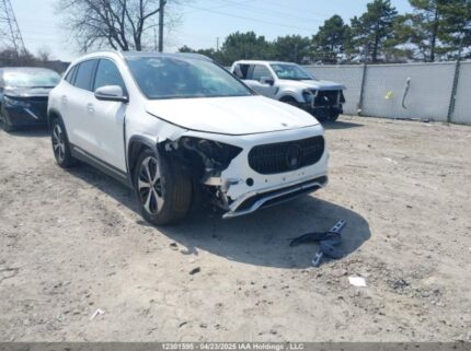 W1N4N4HB5RJ600769 2024 MERCEDES-BENZ