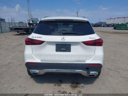 W1N4N4HB5RJ600769 2024 MERCEDES-BENZ