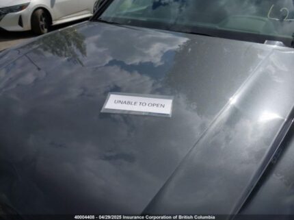 WA1ENAFY1K2124452 2019 AUDI