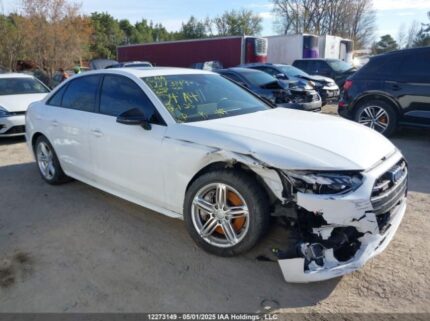 WAUAAAF44RN003420 2024 AUDI