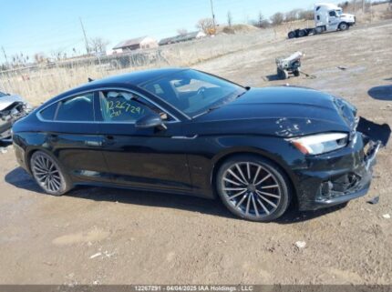 WAUAACF58MA017115 2021 AUDI