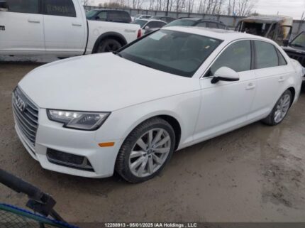 WAUANAF40KN010312 2019 AUDI