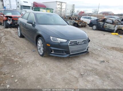 WAUANAF42KN022137 2019 AUDI