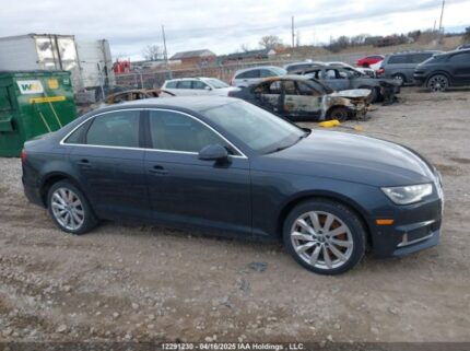 WAUANAF42KN022137 2019 AUDI