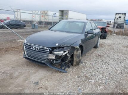 WAUANAF42KN022137 2019 AUDI