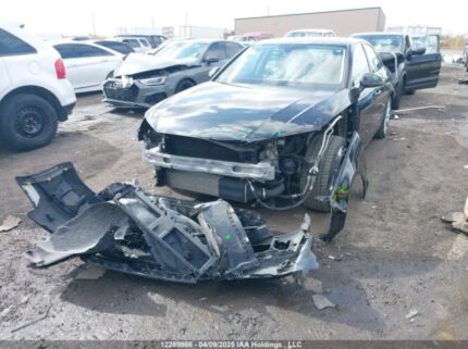 WAUBNAF49HN011309 2017 AUDI