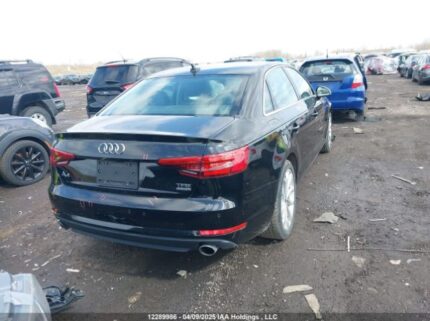 WAUBNAF49HN011309 2017 AUDI